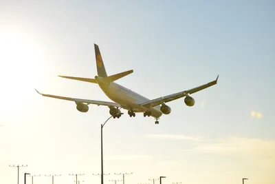 DSC_5754 (Large).JPG